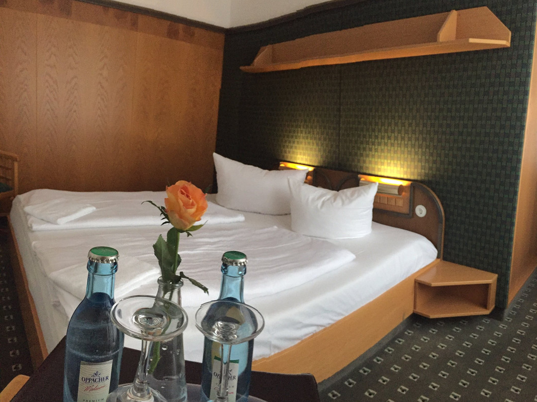 Manufaktur Hotel Stadt Wehlen主图