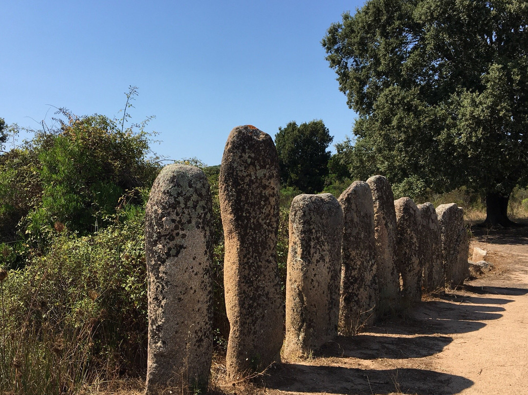 Menhirs Paddaghhu景点图片