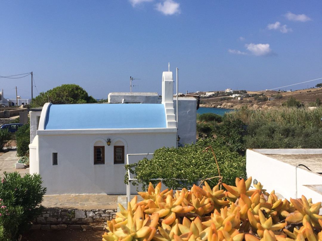 Ragoussis House主图