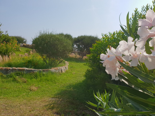 B&B Villa Sprafundu主图