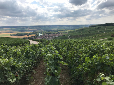 Cris-Event Champagne Tour-兰斯必去景点