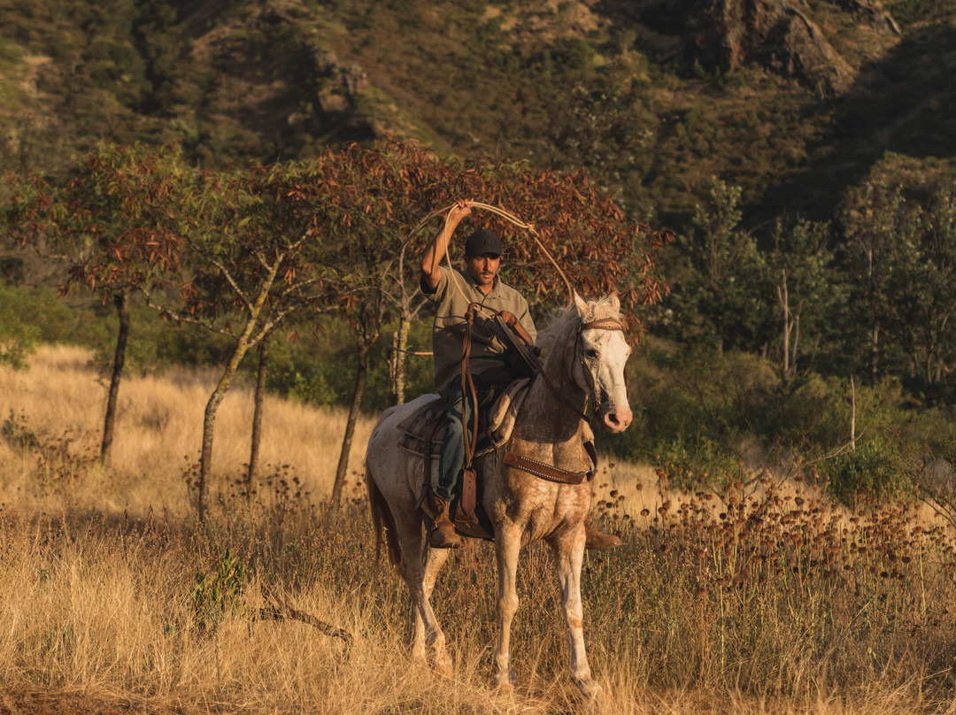 Ohikilolo-怀厄奈必去景点