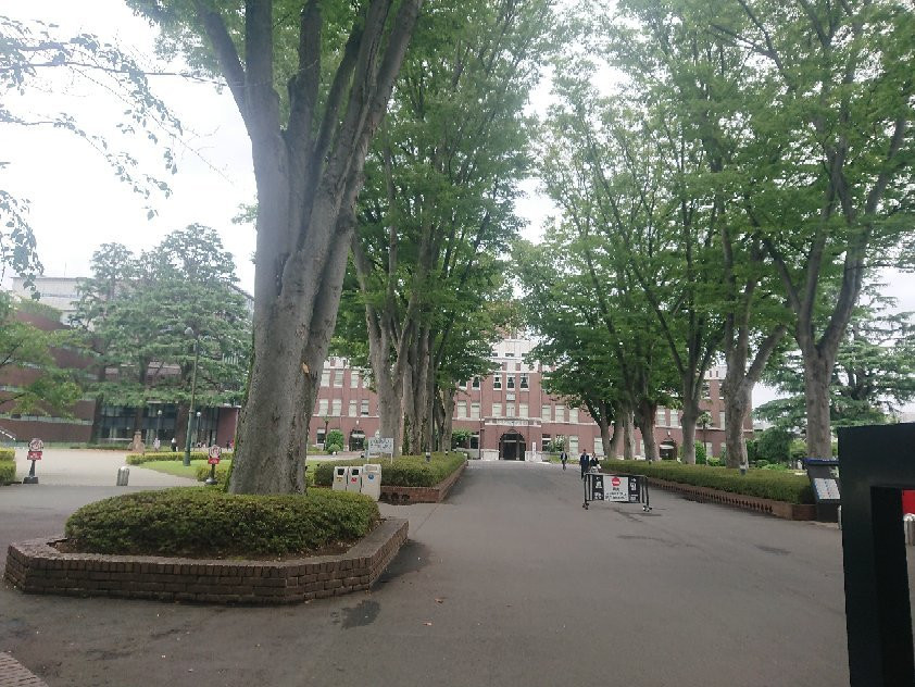 Seikei University景点图片