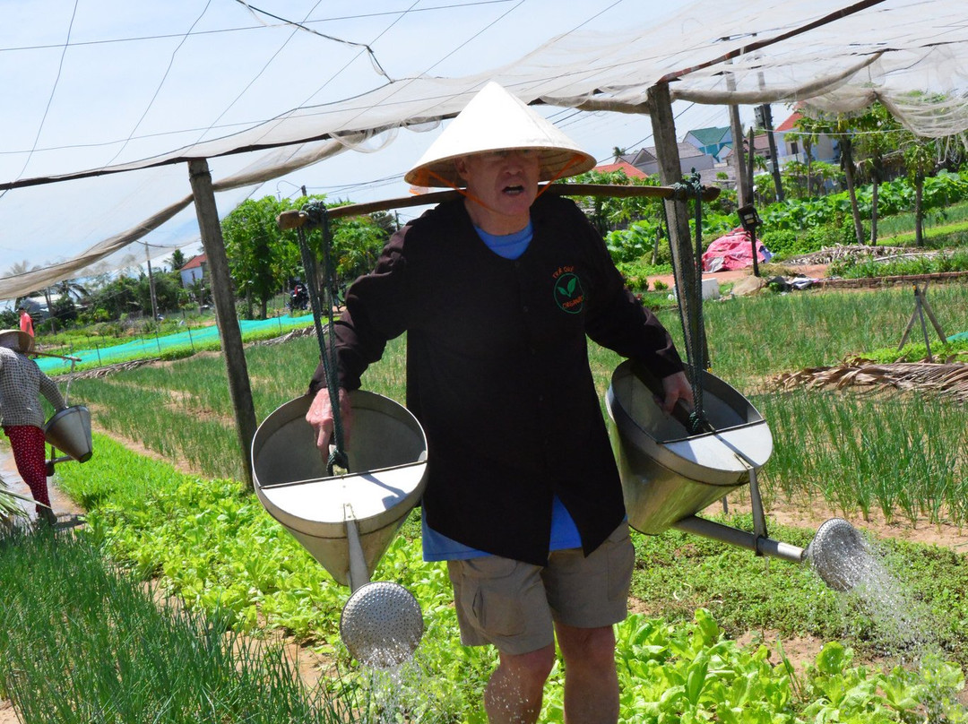 Hoian Cars Service-会安必去景点