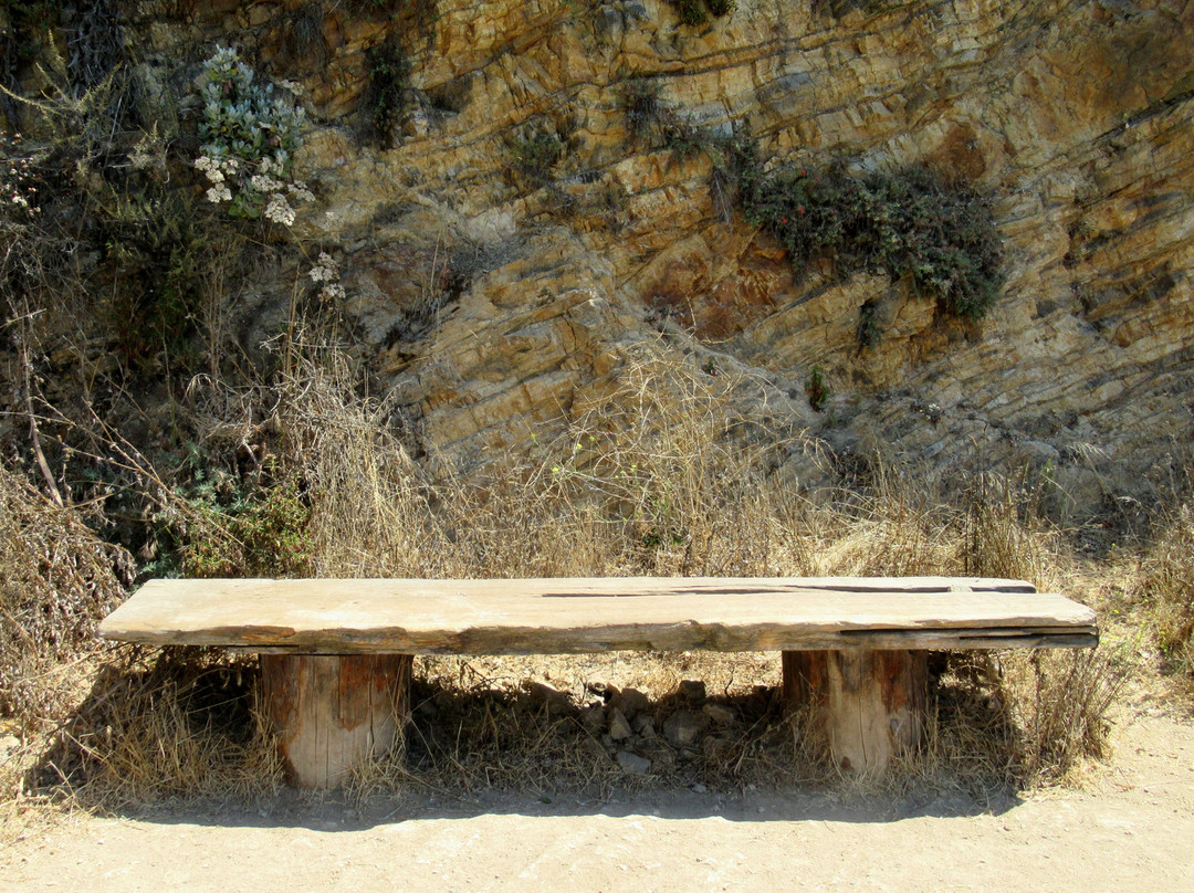 Berkeley Fire Trails-伯克利必去景点