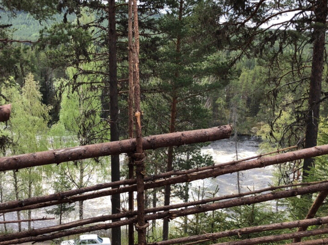 Wild River