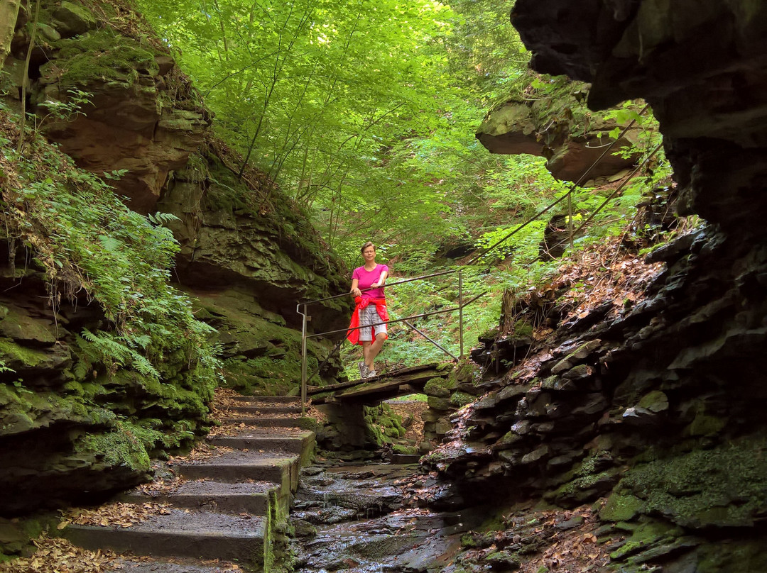 Wolfsschlucht-Zwingenberg必去景点