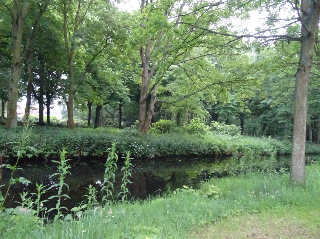 Landgoed Ockenburg景点图片