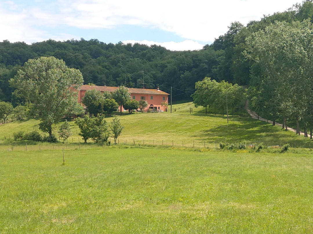 Ponte Agli Stolli旅游景点-Podere Casa al Bosco