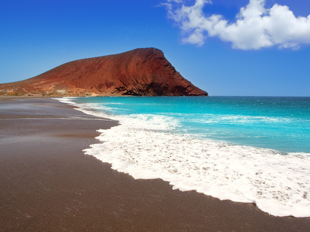 Playa de la Tejita景点图片