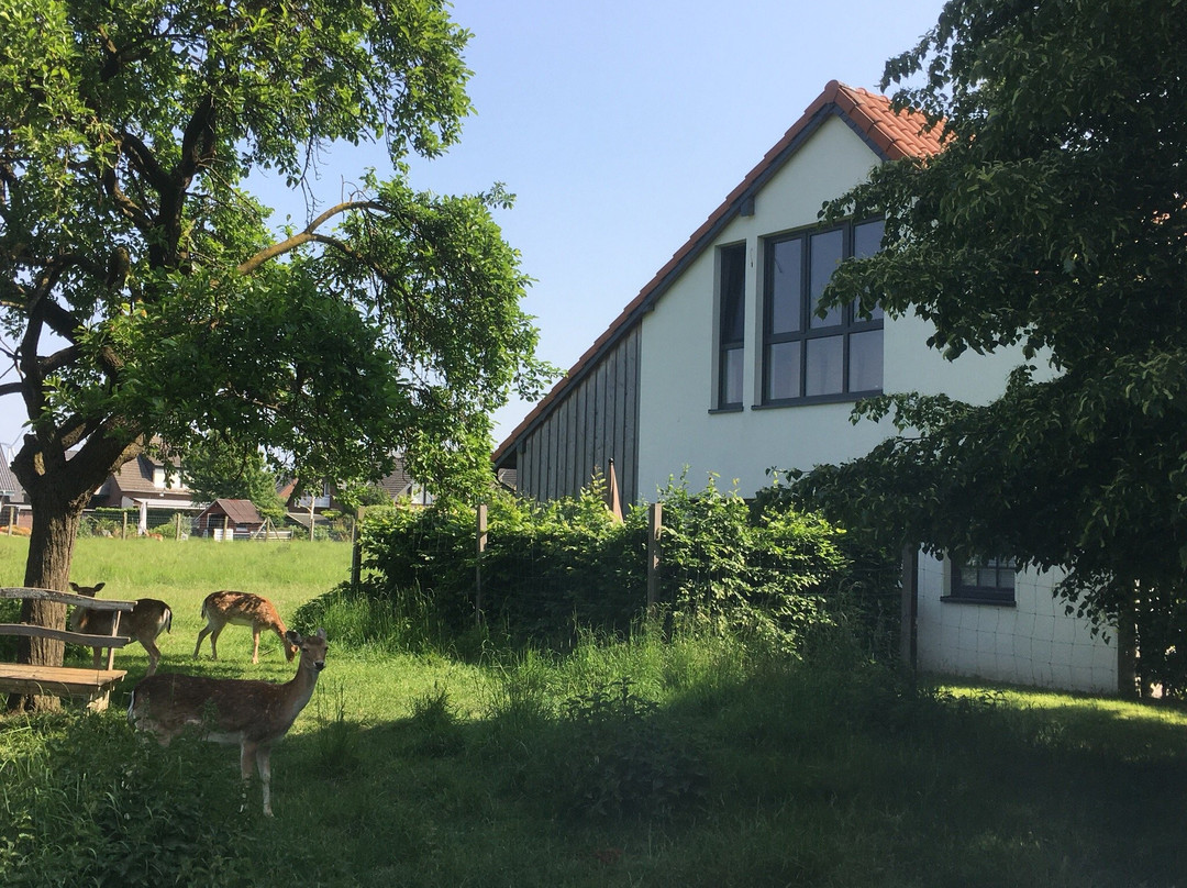 Gästehaus Drostenhof主图