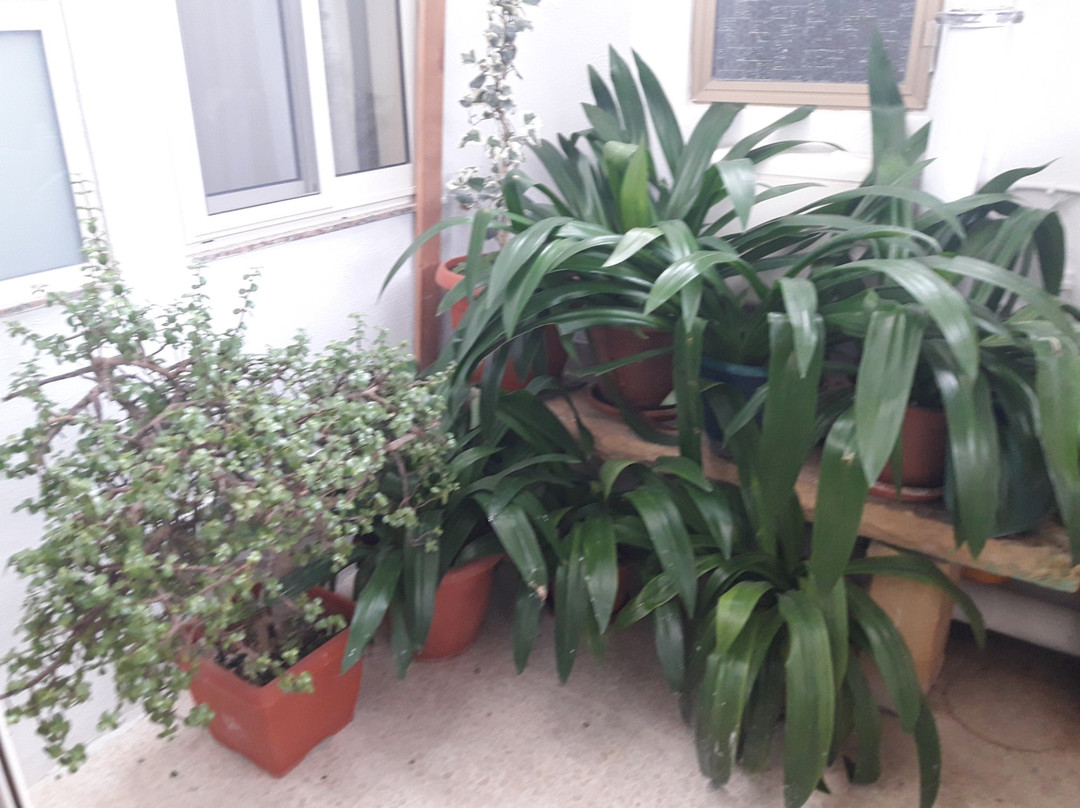 Estrella Lodging主图