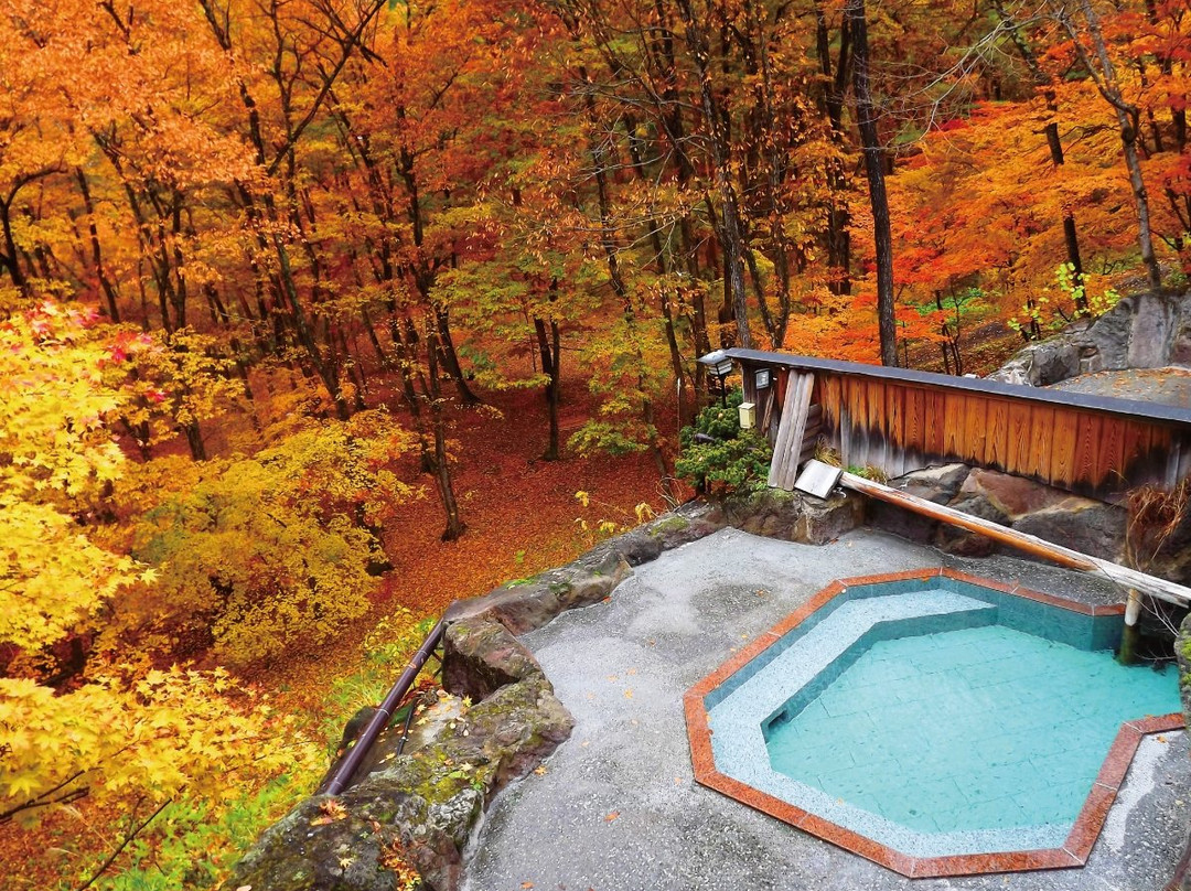 OYO Ryokan Koboshinoyu Senshintei主图