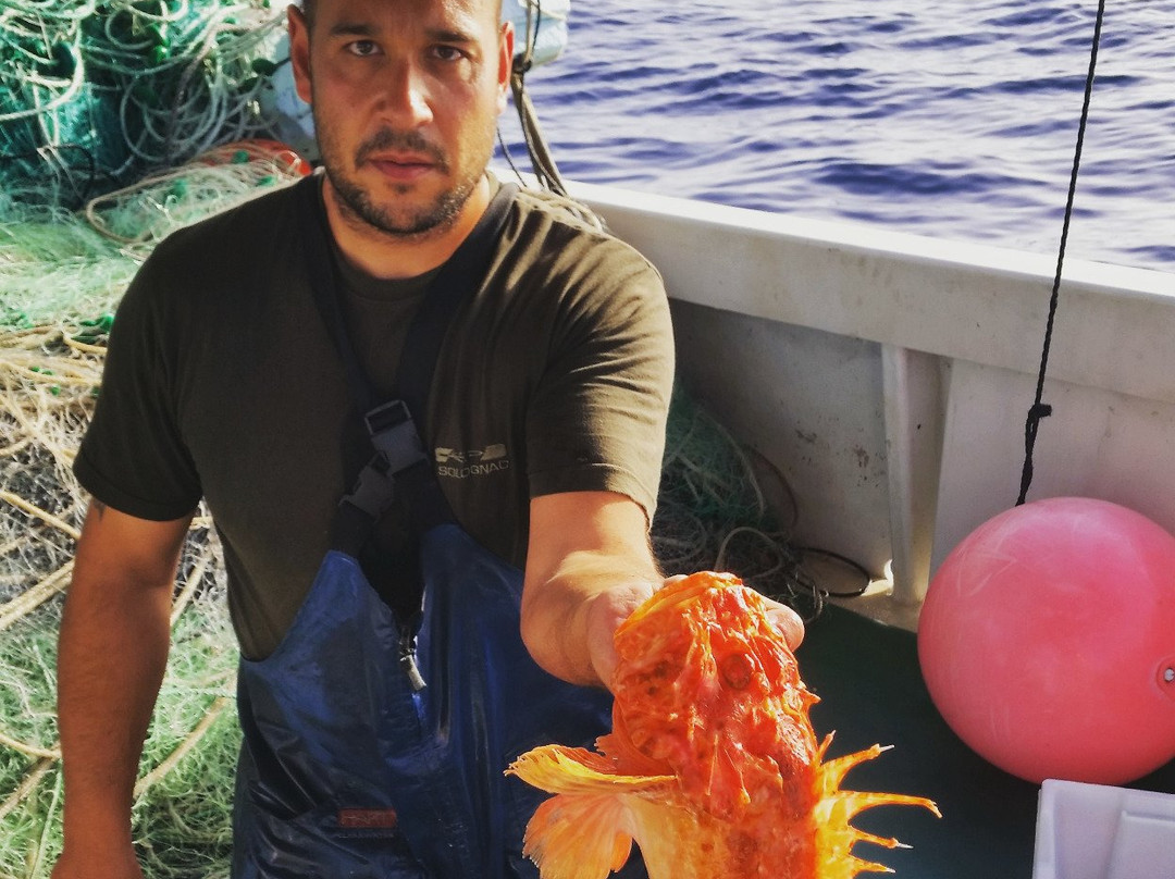 Mallorca Fishing Charter-爱博纳必去景点