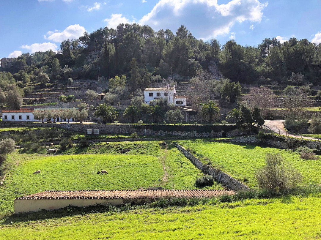 Finca Can Sec