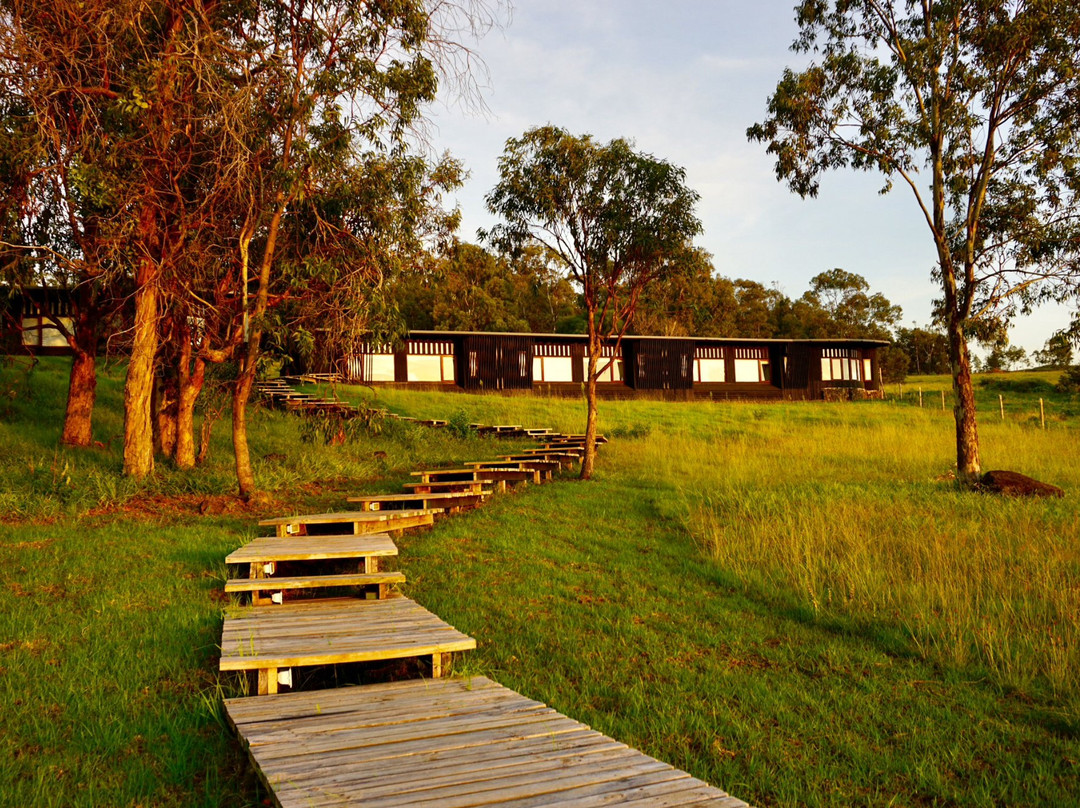 Rapa Nui by Explora主图