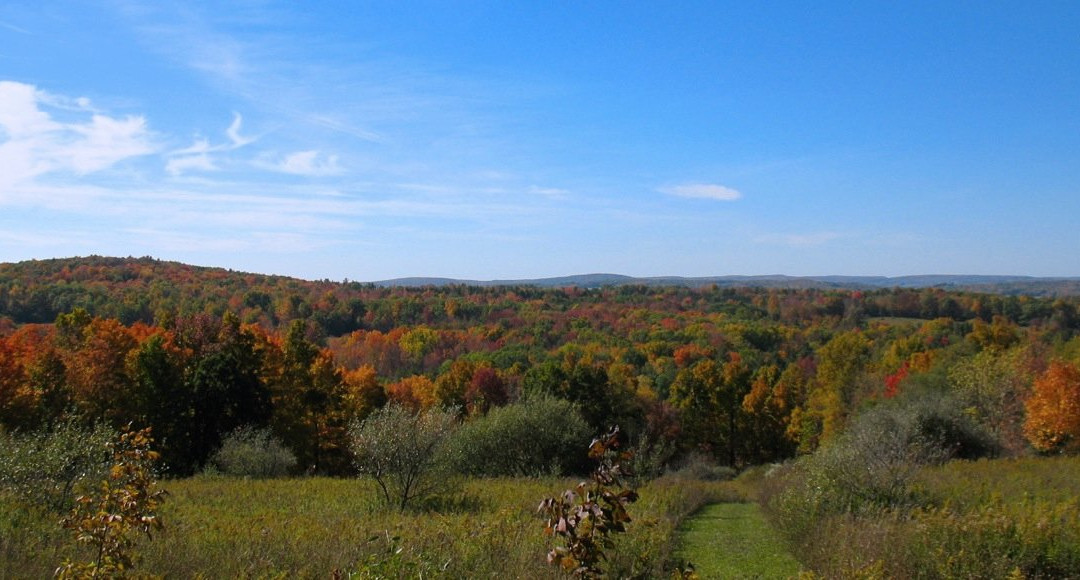 Dreaming Roses Eco-B&B主图