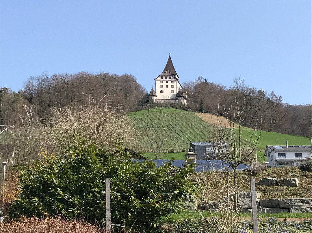 Weinfelden旅游攻略图片