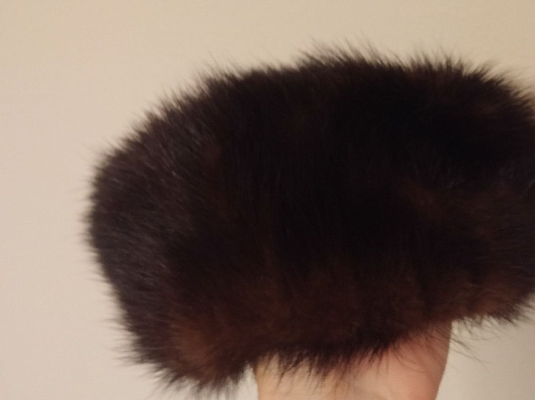 Spring Antique Mall-斯普林必去景点