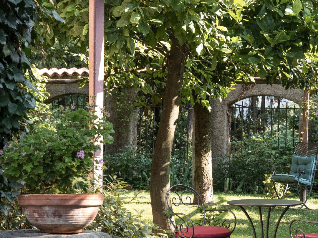 Ronco Dell'Abate主图