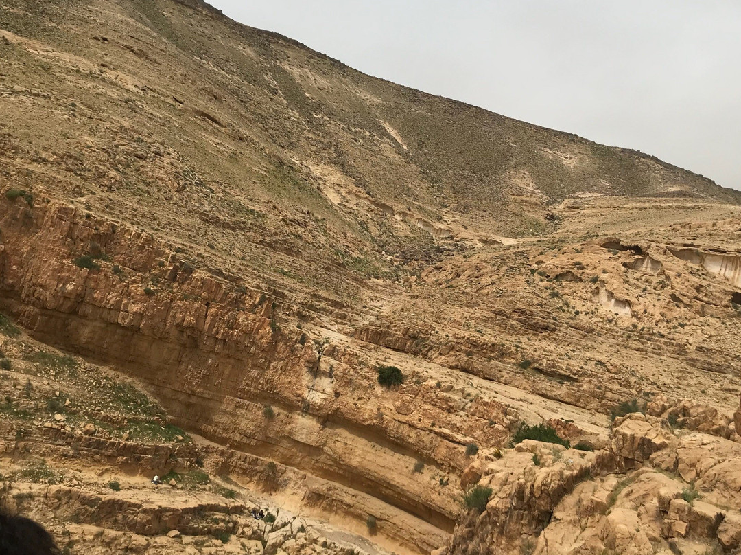 Nahal Kina-Arad必去景点