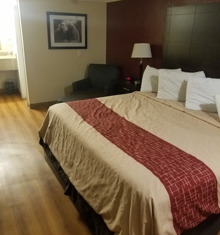 Red Roof Inn Ardmore主图