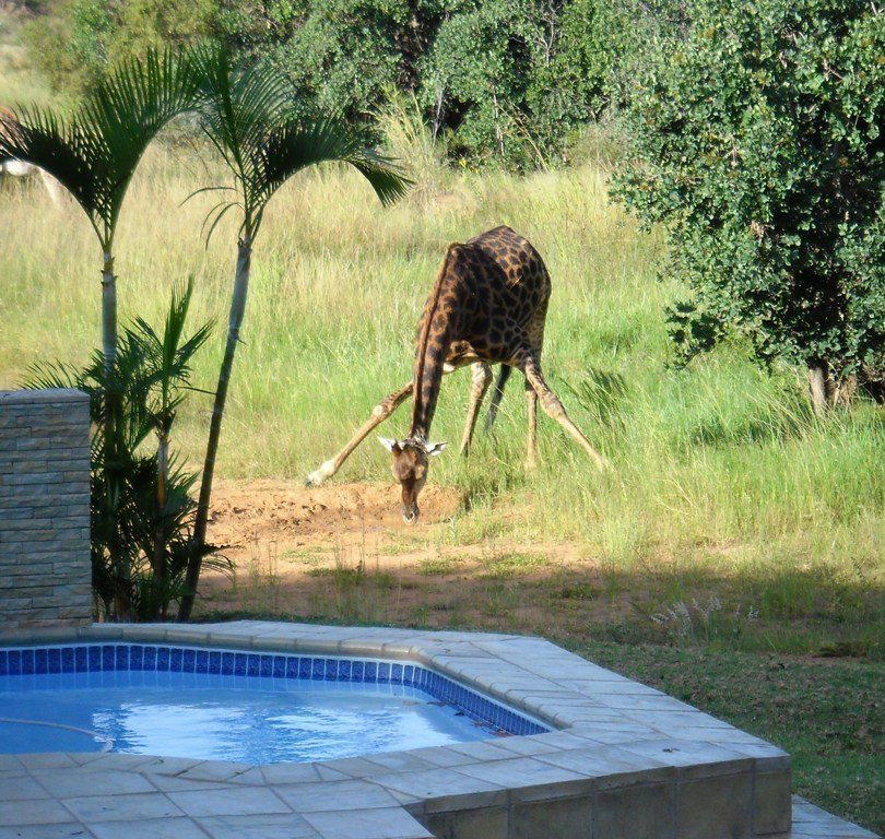 La Barune Game Lodge主图