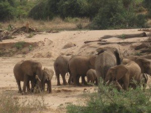 Qta Tours & Safaris-Karen必去景点