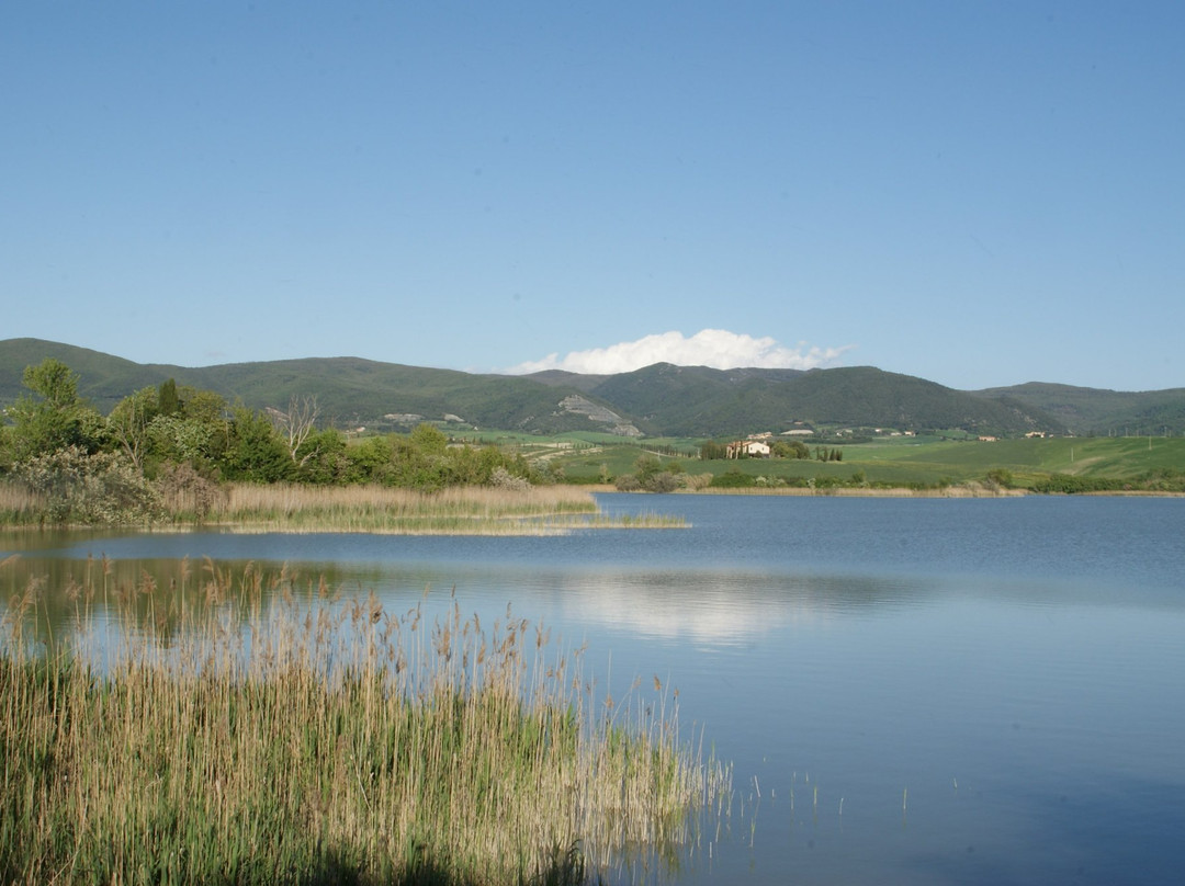 Riserva Lipu Santa Luce景点图片