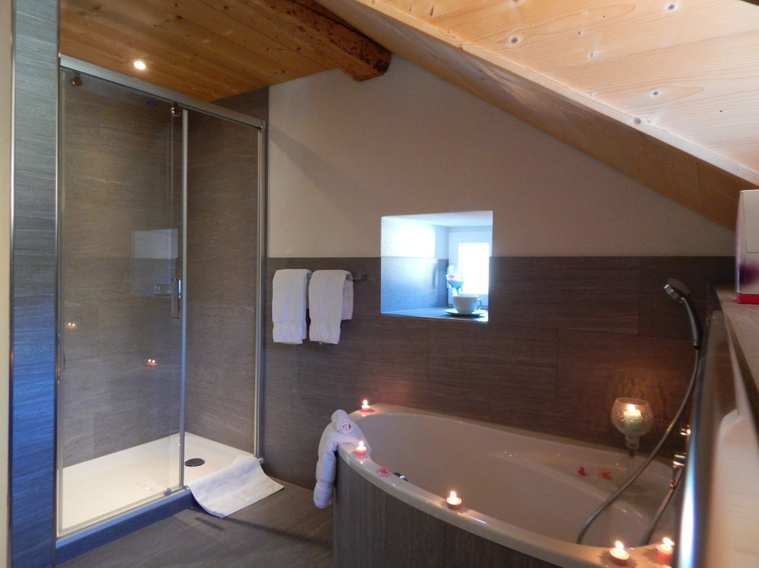 Hotel Cualmet - Alpine Garni主图