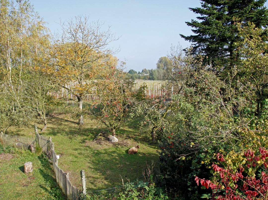 Hof Van Loverrijk主图