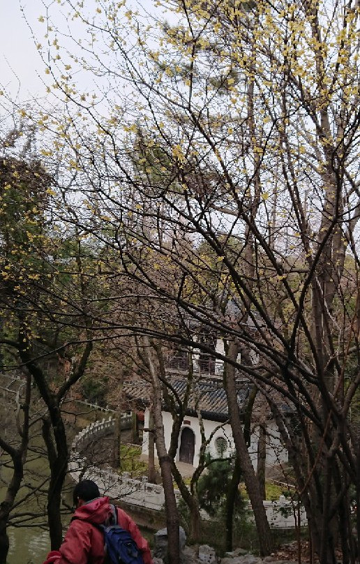 汇龙潭公园-上海市必去景点