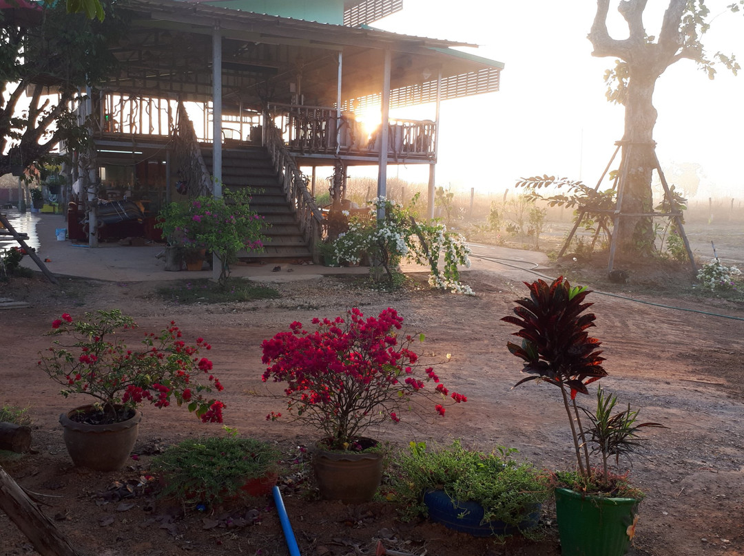 Vongkham Eco Resort主图