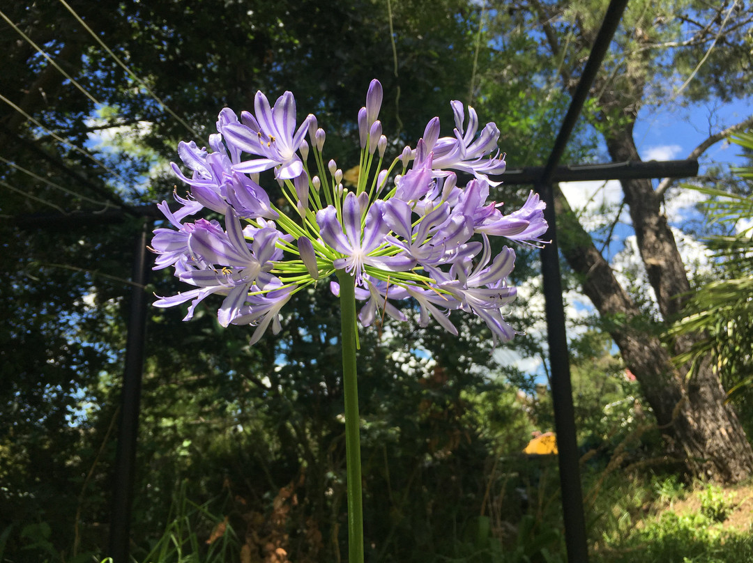 Resthaven Guest House主图