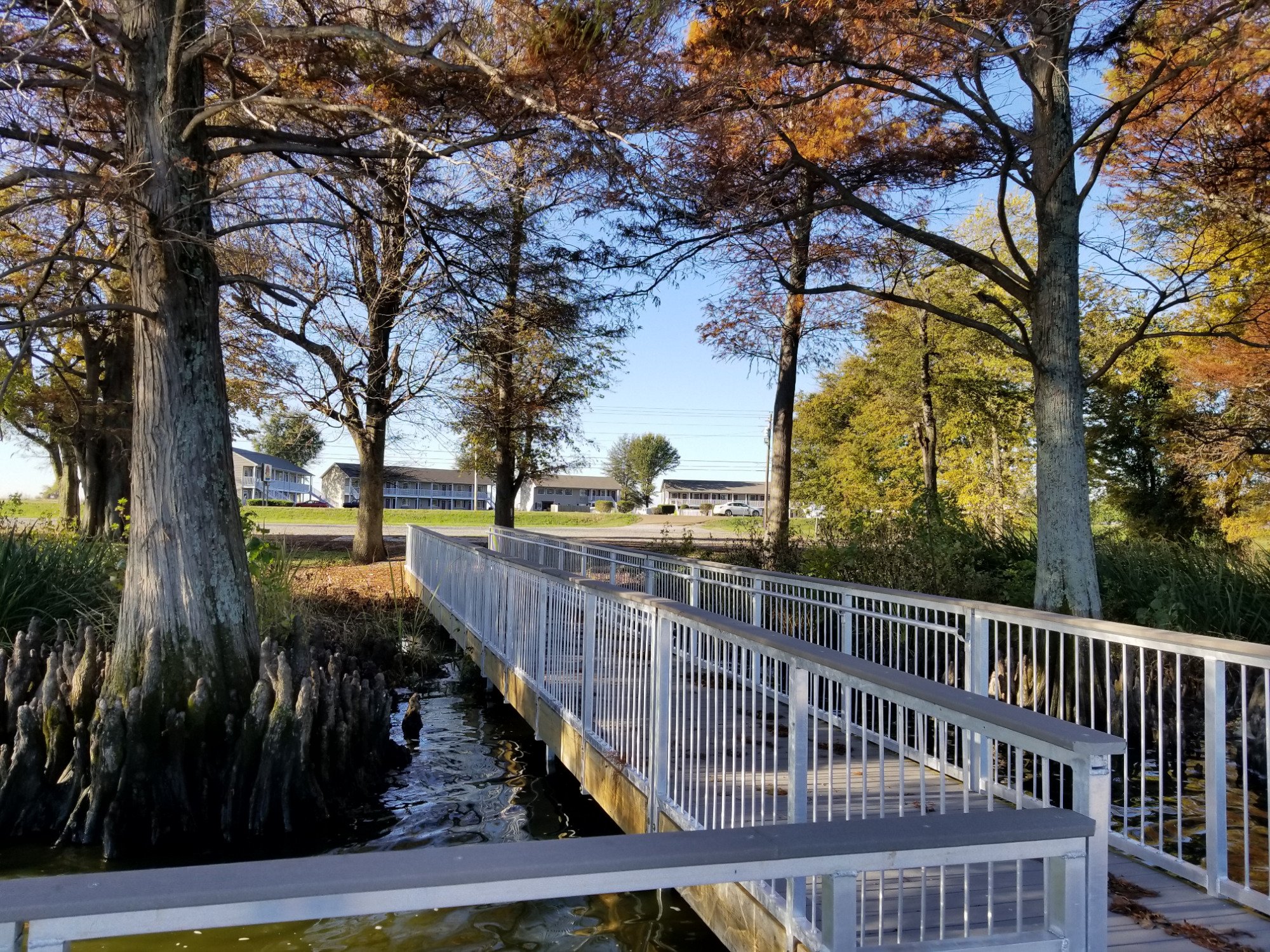 Reelfoot Lake Inn-官方