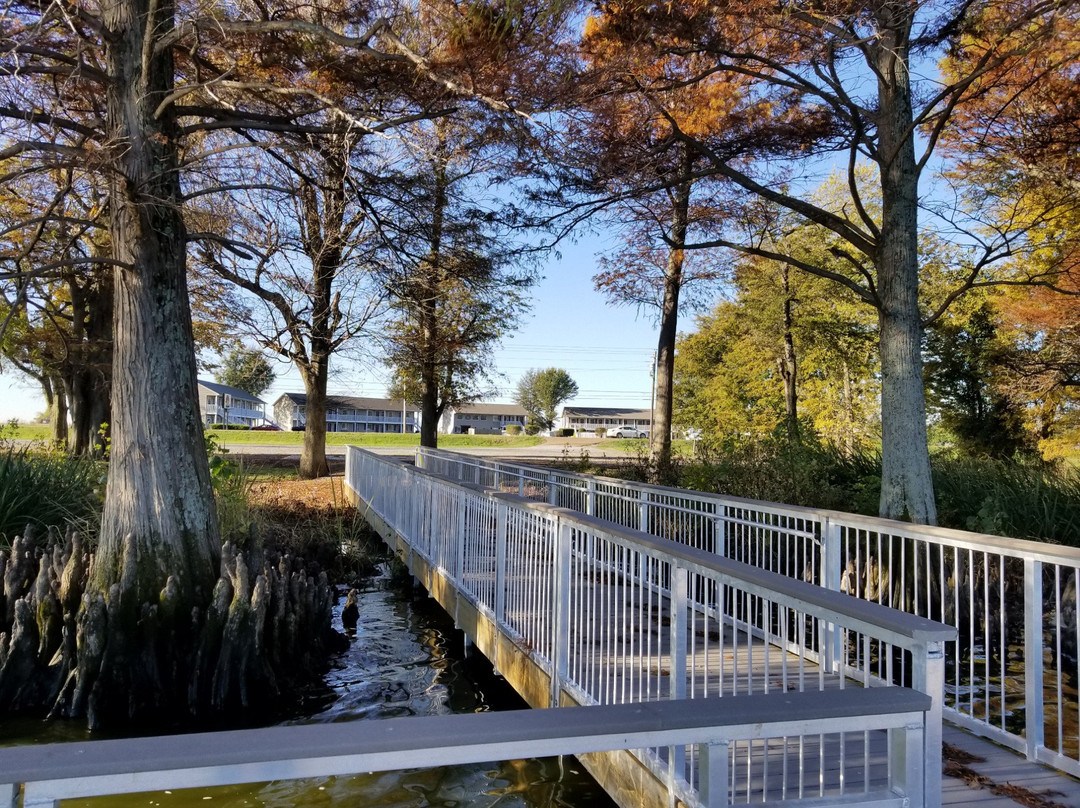 Reelfoot Lake Inn主图