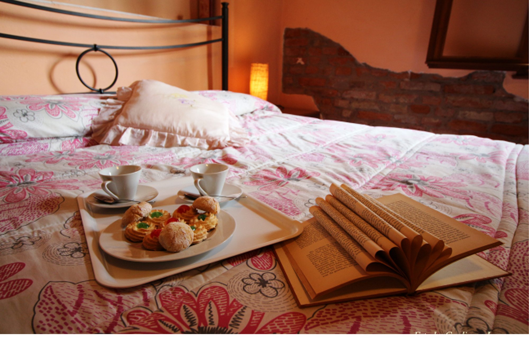 B&B Le Palme d'Oro-官方