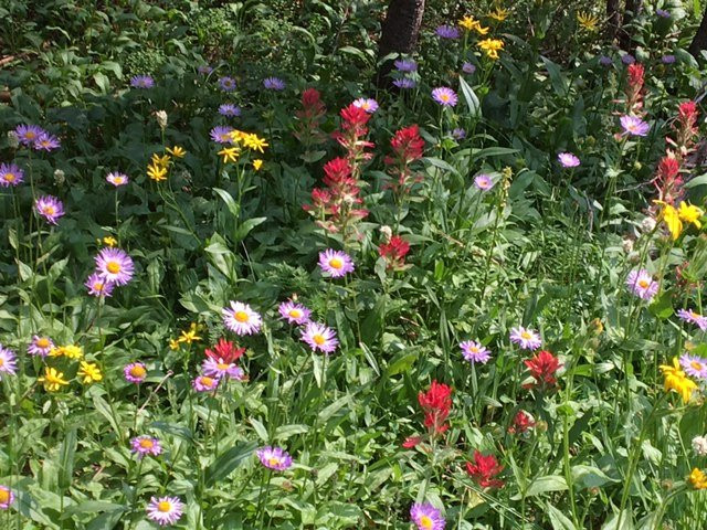 Jade Lake Trail-Dubois必去景点