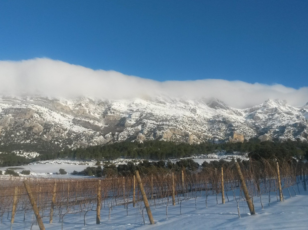 Gran Turismo Rioja-拉瓜迪亚必去景点