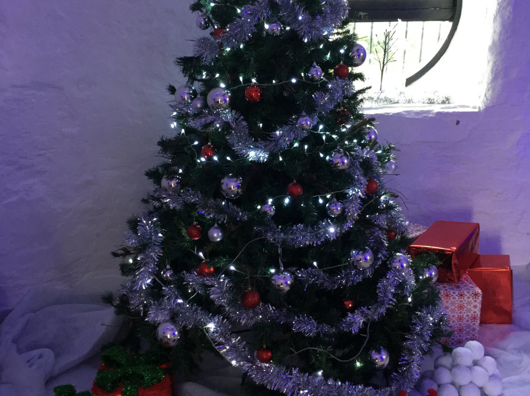 The Windmill-特伦特河畔斯托克必去景点