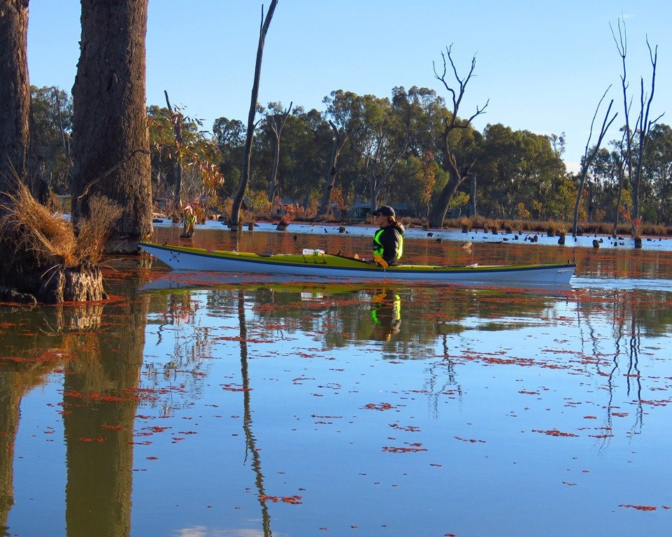 Murray River Adventures景点图片