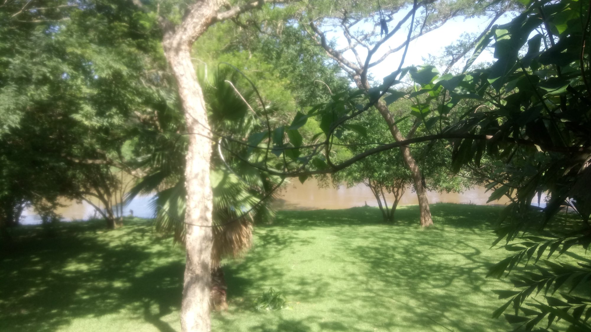 Hippo Water Front-酒店景观