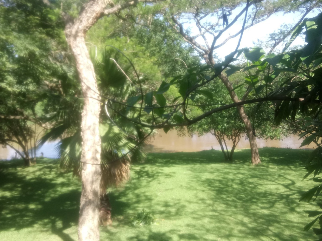 Hippo Water Front主图