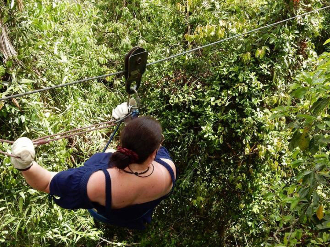 Forest Flying-Finch Hatton必去景点