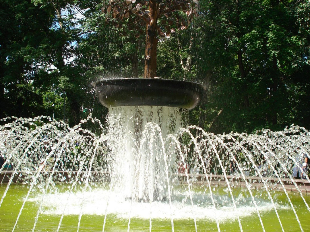 Fountain Lipa景点图片