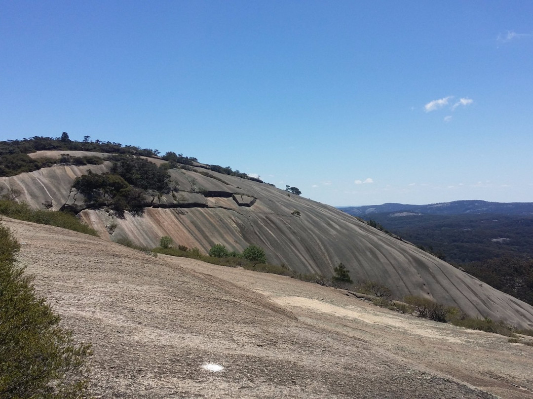 Bald Rock National Park景点图片