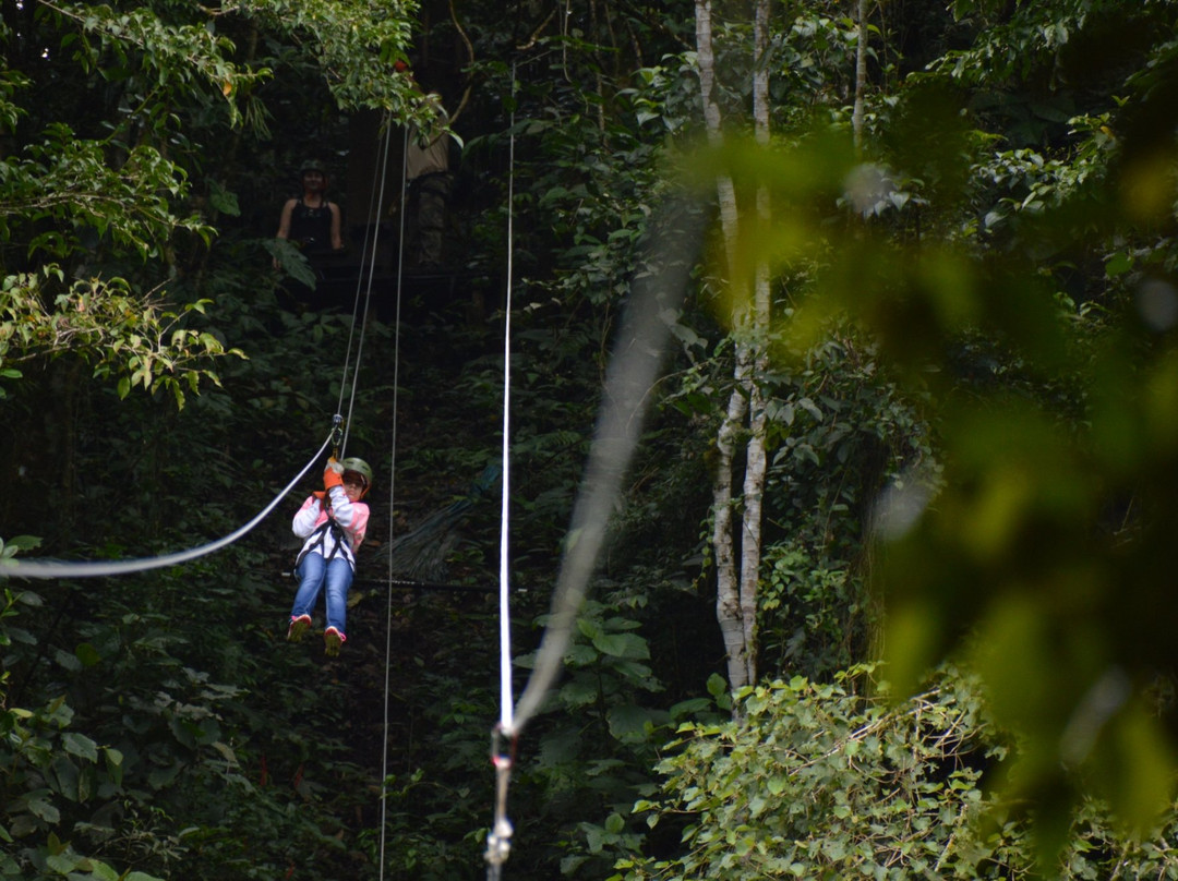 Canopy Adventure景点图片