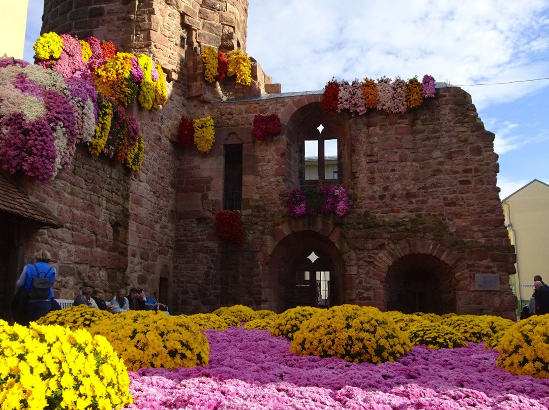 拉尔旅游攻略图片