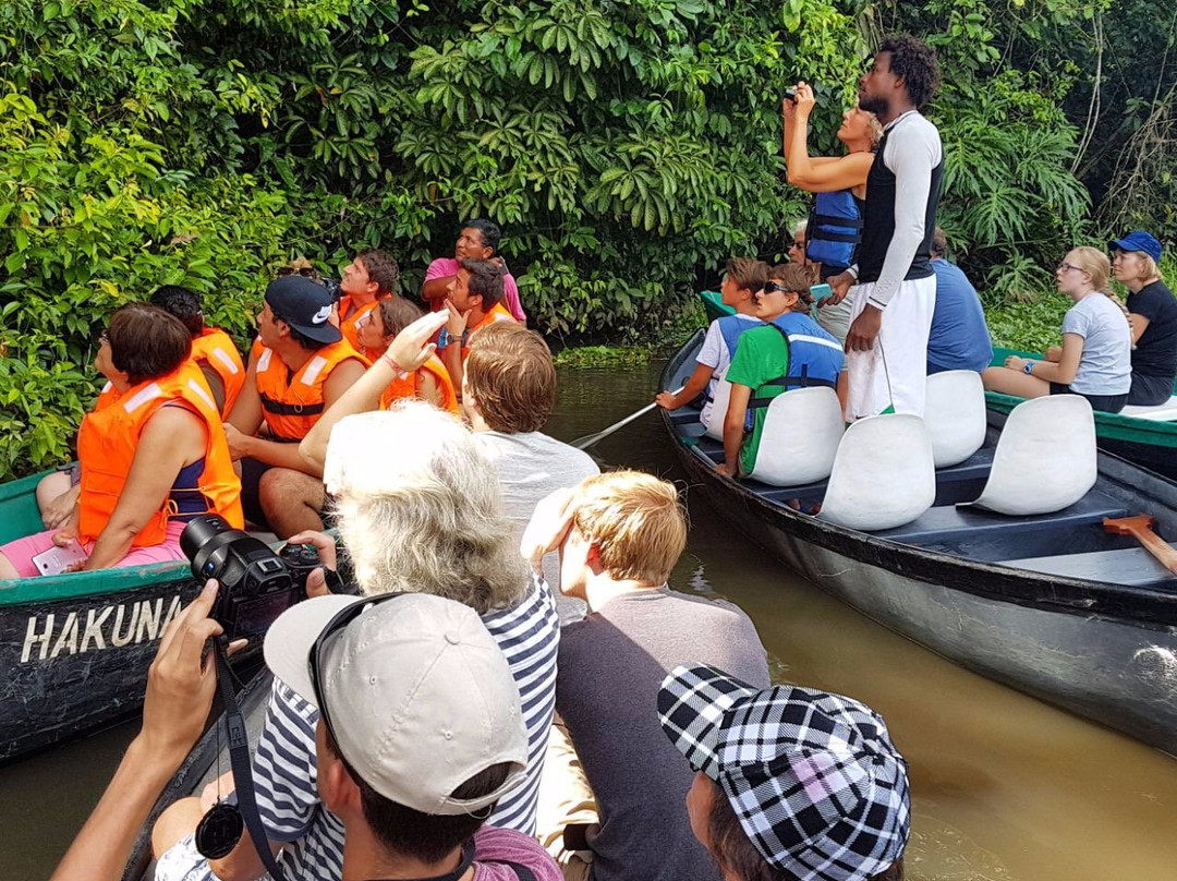Tortuguero Tours景点图片