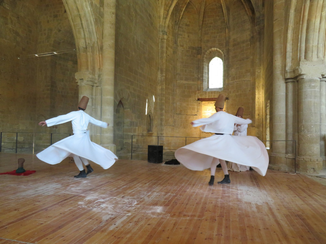 Whirling Dervish Performance Nicosia-尼科西亚必去景点
